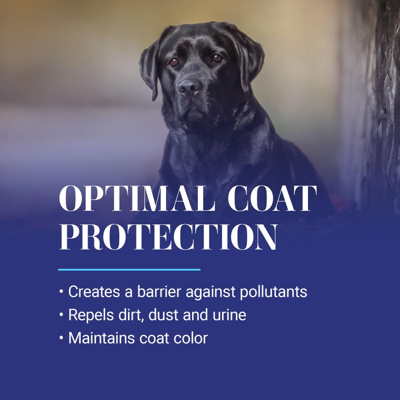 Chris Christensen Ice on Ice Ultra Conditioning Dematting Spray, Dog Conditioner, Groom Like a Professional, Lightweight Formula, Dematts & Detangles, Conditions & Protects, Made in The USA, 13.2oz - Image 5
